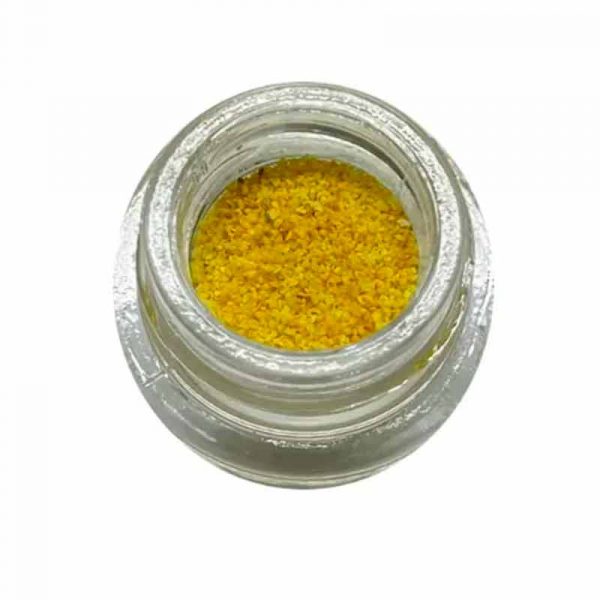 Raw DMT Powder 1G