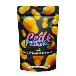 200ug Mango Slice