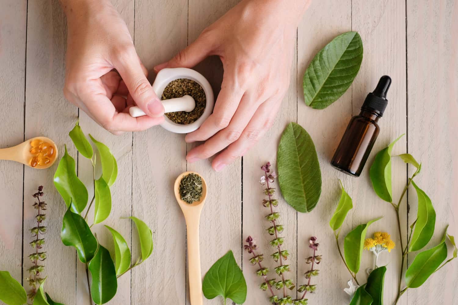 Mushrooms in Traditional Medicine: Lessons from Chinese and Ayurvedic Healing
