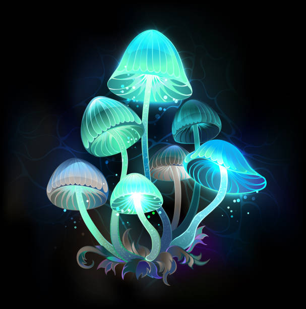How Psilocybin Affects Neurotransmitters Like Serotonin and Dopamine